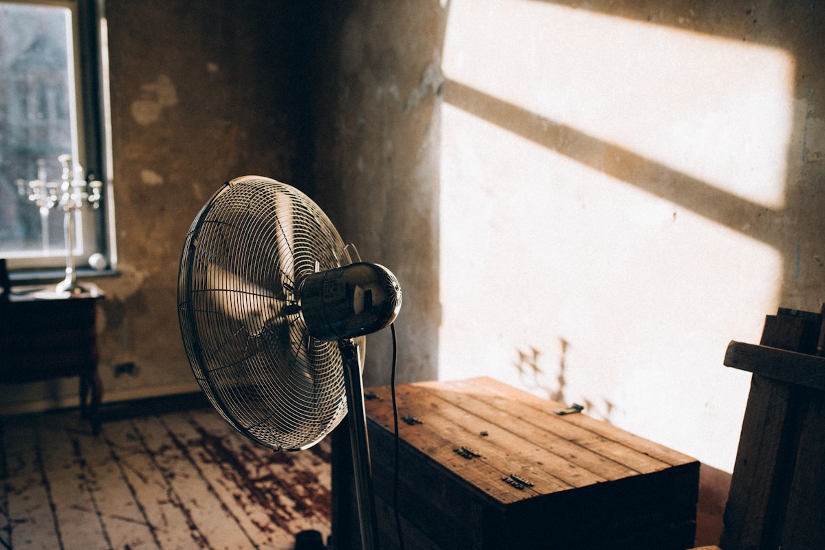 Mold Remediation service in Plantation, FL